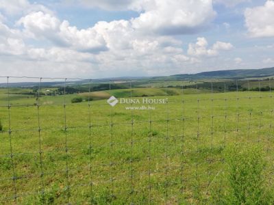 Eladó külterületi telek Csabdi