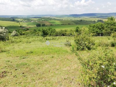 Eladó külterületi telek Csabdi