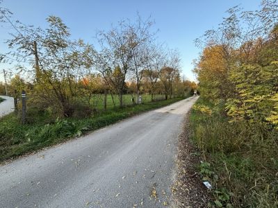 Eladó külterületi telek Kecskemét