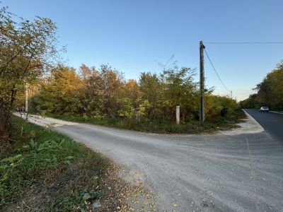 Eladó külterületi telek Kecskemét