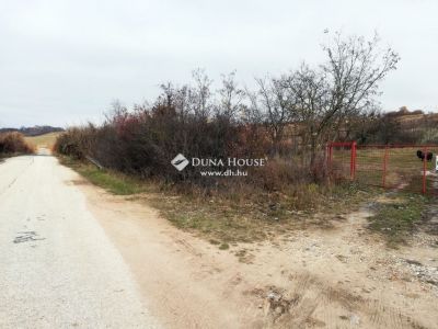 Eladó külterületi telek Csabdi
