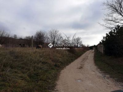 Eladó külterületi telek Csabdi