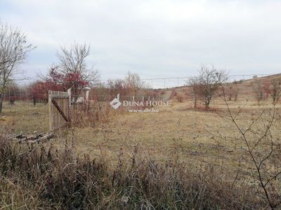 Eladó külterületi telek Csabdi