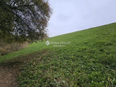 Eladó külterületi telek Pécs