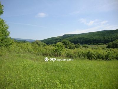 Eladó lakóövezeti telek Felsőtárkány