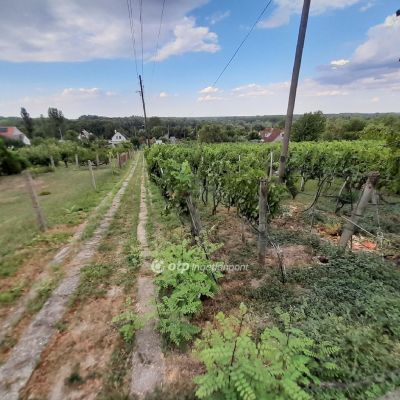 Eladó étterem, vendéglő Szekszárd