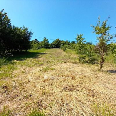 Eladó lakóövezeti telek Szekszárd