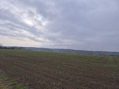 Eladó lakóövezeti telek Gomba