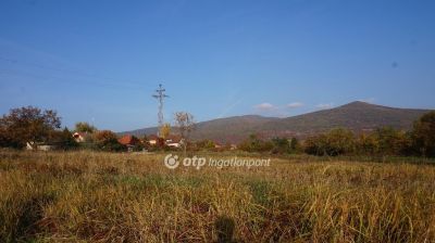 Eladó lakóövezeti telek Markaz