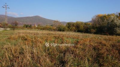 Eladó lakóövezeti telek Markaz