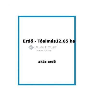 Eladó erdő Tóalmás