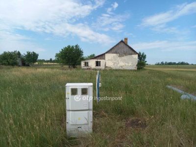 Eladó általános mezőgazdasági ingatlan Csongrád