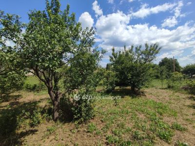 Eladó nyaraló Debrecen