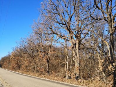 Eladó külterületi telek Balatonudvari