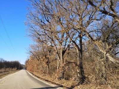 Eladó külterületi telek Balatonudvari