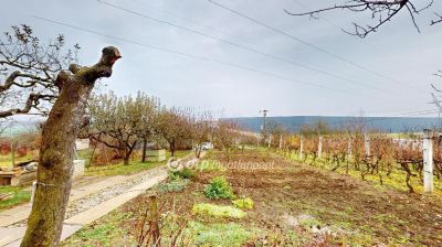 Eladó nyaraló Szirmabesenyő