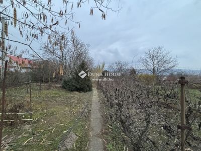Eladó nyaraló Vértesszőlős