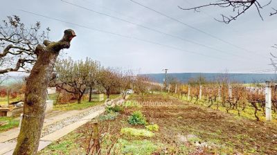 Eladó nyaraló Szirmabesenyő