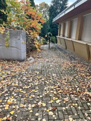 Kiadó lakás Pécs