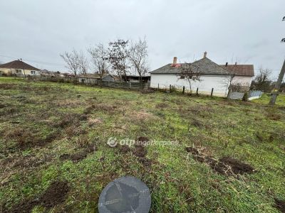 Eladó lakóövezeti telek Poroszló