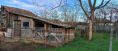 Eladó családi ház Csépa