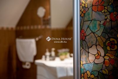 Eladó szálloda, hotel, panzió Monor