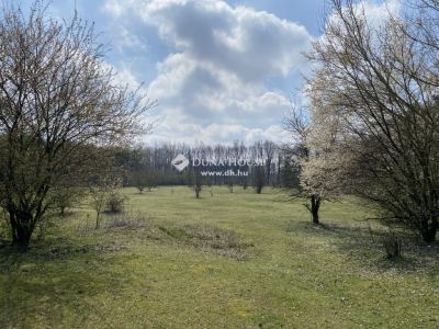 Eladó külterületi telek Debrecen