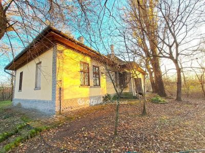 Eladó nyaraló Kecskemét