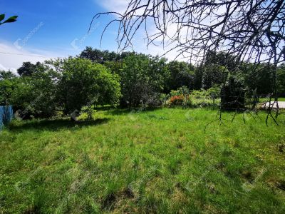 Eladó lakóövezeti telek Balatonalmádi