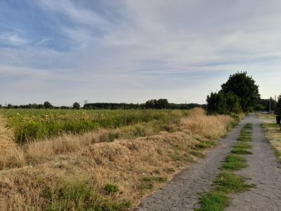 Eladó lakóövezeti telek Vácszentlászló