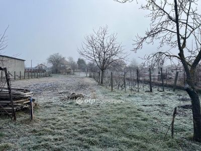 Eladó családi ház Szabadegyháza