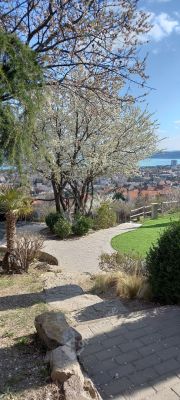 Eladó külterületi telek Balatonfüred