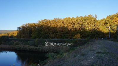 Eladó családi ház Gyöngyösoroszi