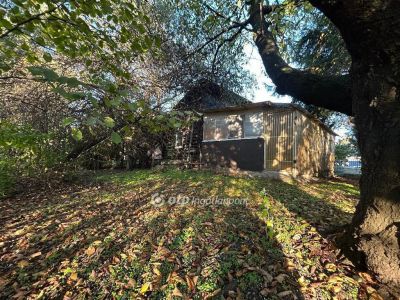 Eladó lakóövezeti telek Nyíregyháza