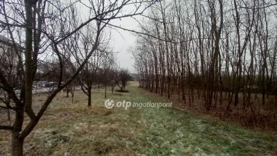 Eladó családi ház Cered
