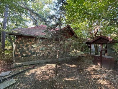 Eladó tanya Monor Monorierdő