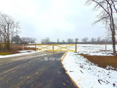 Eladó egyéb telek Cegléd