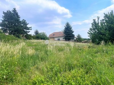 Eladó üdülőövezeti telek Szentendre