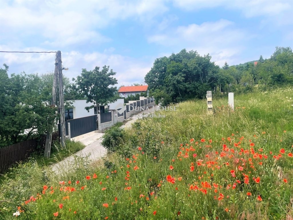 Eladó üdülőövezeti telek Szentendre