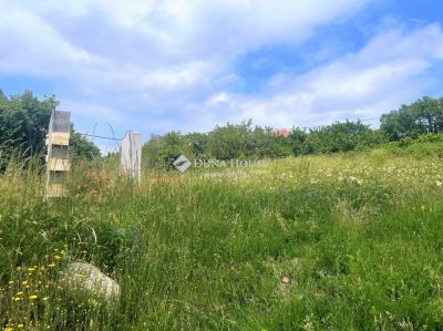 Eladó üdülőövezeti telek Szentendre