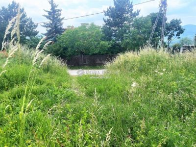 Eladó üdülőövezeti telek Szentendre