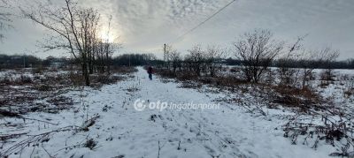 Eladó lakóövezeti telek Felcsút