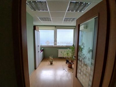 Kiadó műhely Debrecen