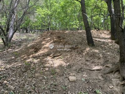 Eladó külterületi telek Dorogháza