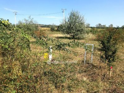 Eladó lakóövezeti telek Velence