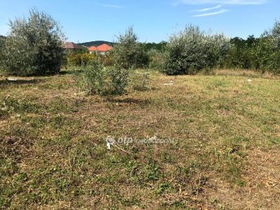 Eladó lakóövezeti telek Velence