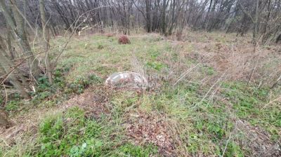 Eladó külterületi telek Kerepes