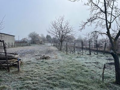 Eladó családi ház Szabadegyháza