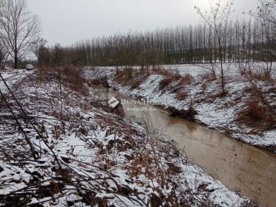 Eladó erdő Egerszólát