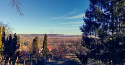 Eladó lakóövezeti telek Dunabogdány